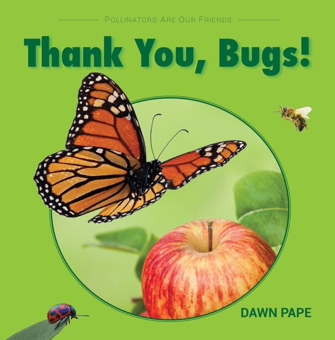 Thank You, Bugs!