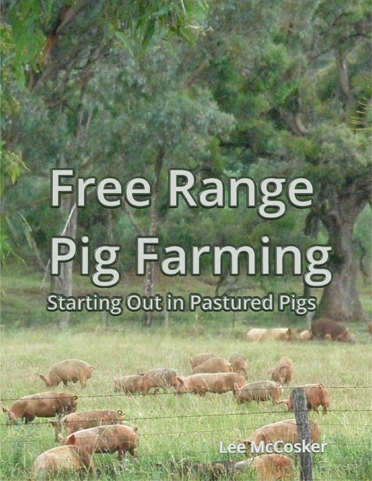 Free Range Pig Farming