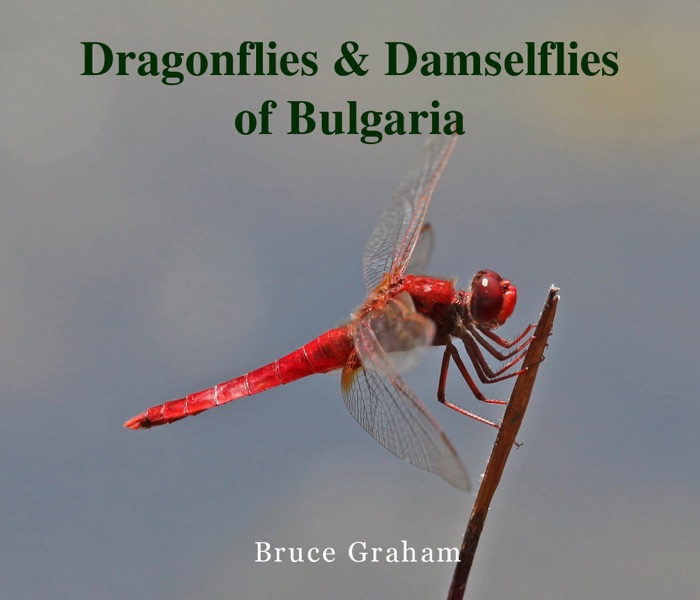 Dragonflies & Damselflies of Bulgaria