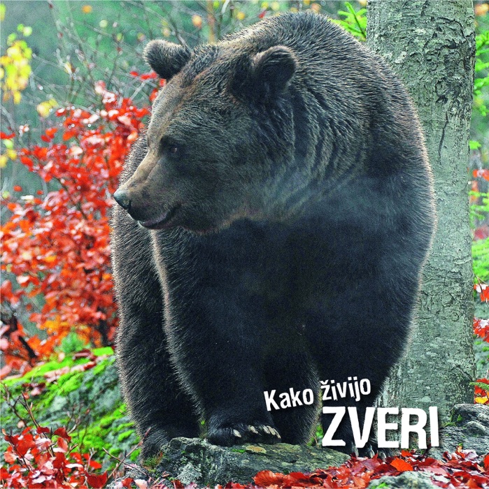 Kako živijo zveri