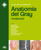 Anatomia del Gray - Richard L. Drake, A. Wayne Vogl & Adam W. Mitchell