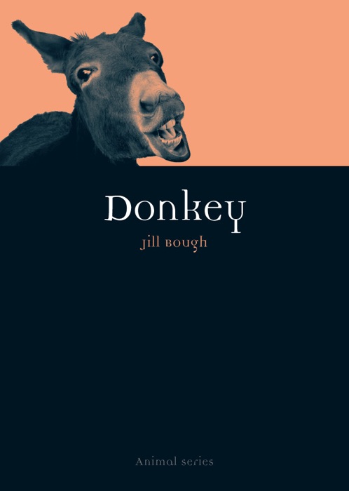 Donkey