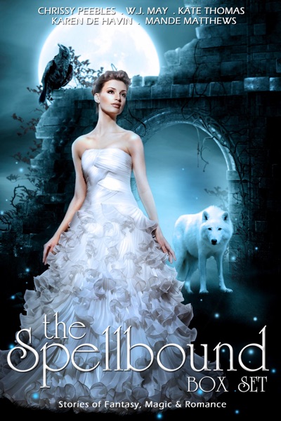 The Spellbound Box Set: Stories of Fantasy, Magic & Romance