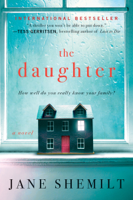 Jane Shemilt - The Daughter artwork