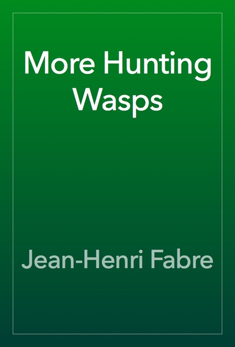 More Hunting Wasps