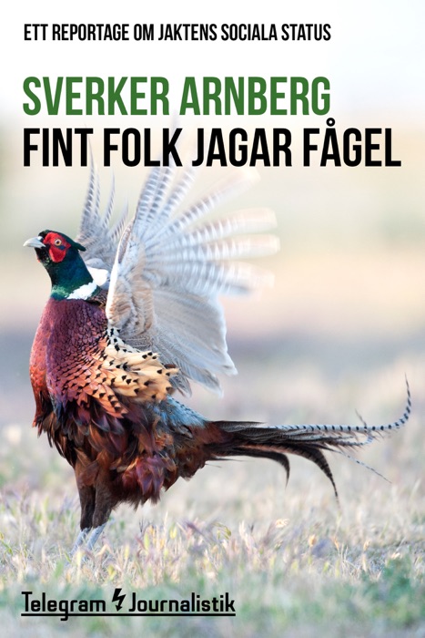 Fint folk jagar fågel