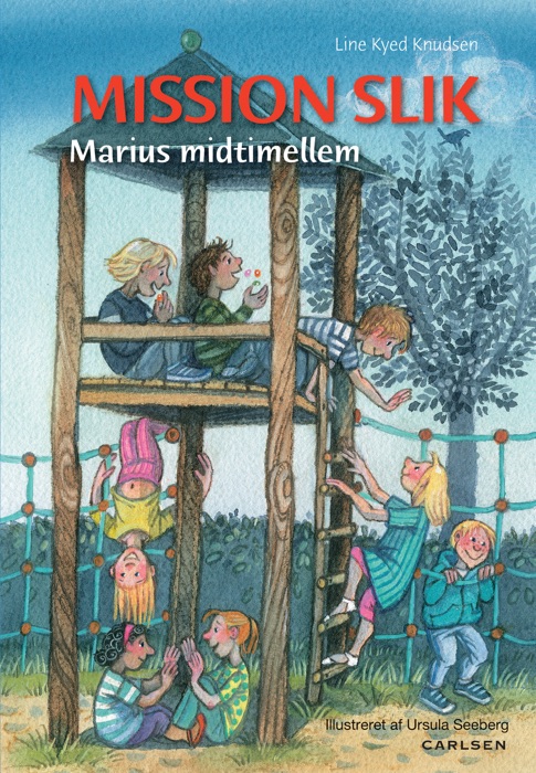 Marius Midtimellem: Mission slik