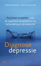 Download Diagnose depressie