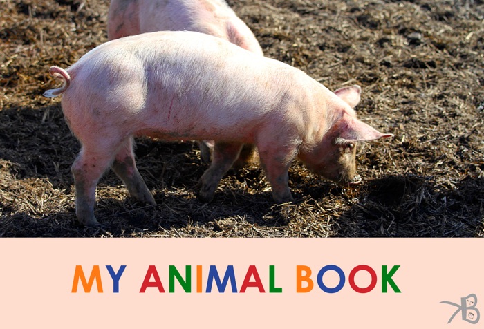 My animal book