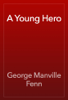 A Young Hero - George Manville Fenn