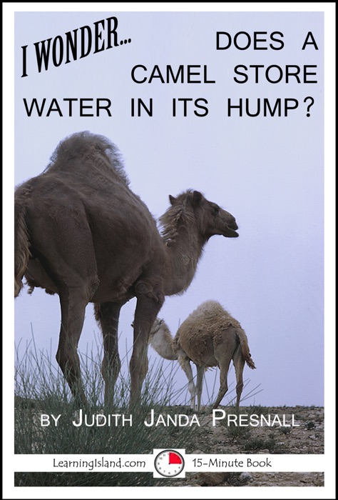 I Wonder… Does A Camel Store Water In Its Hump