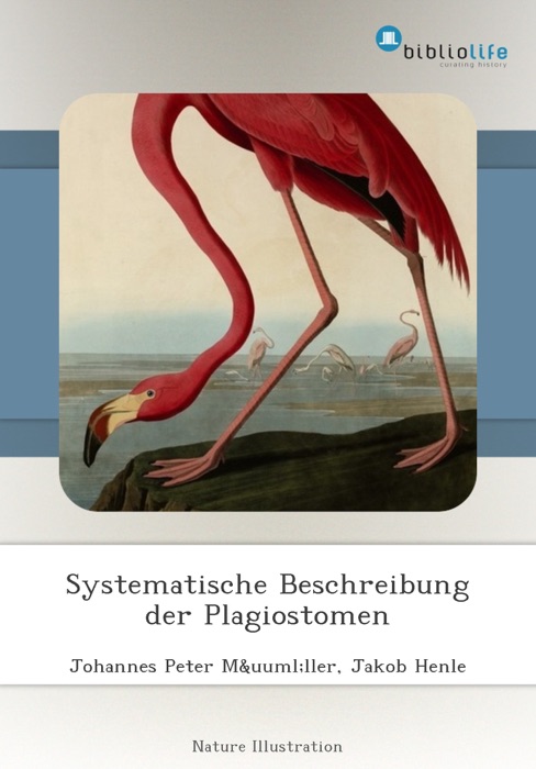 Systematische Beschreibung der Plagiostomen