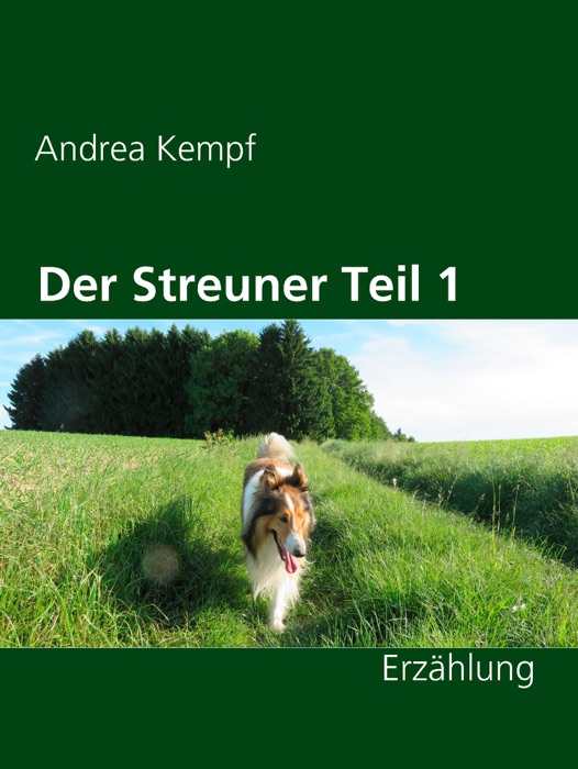 Der Streuner Teil 1