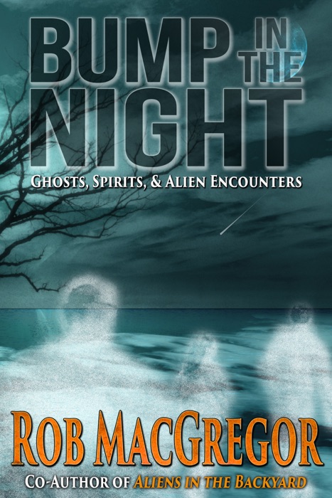 Bump in the Night