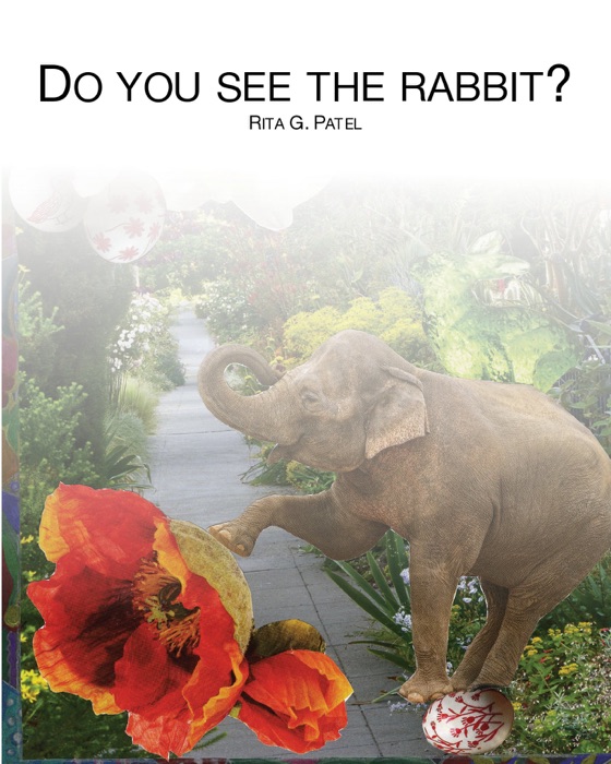 Do you see the rabbit?