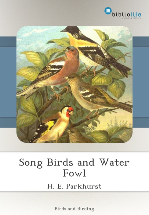 Song Birds and Water Fowl