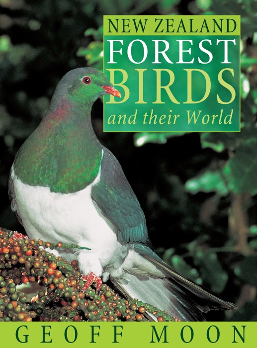 New Zealand Forest Birds and their World