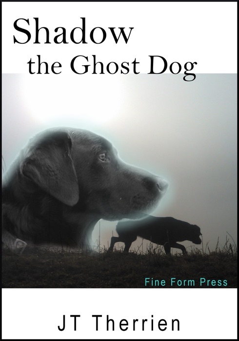 Shadow the Ghost Dog