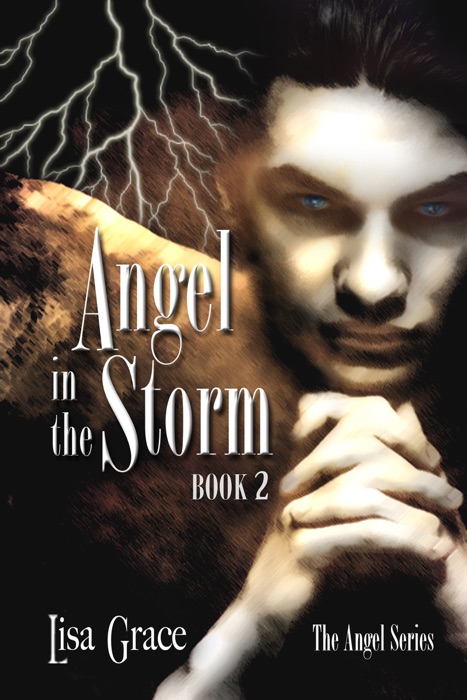 Angel in the Storm, Book 2 by Lisa Grace (Angel Series)