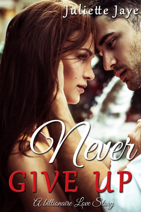 Never Give Up (A Billionaire Love Story)