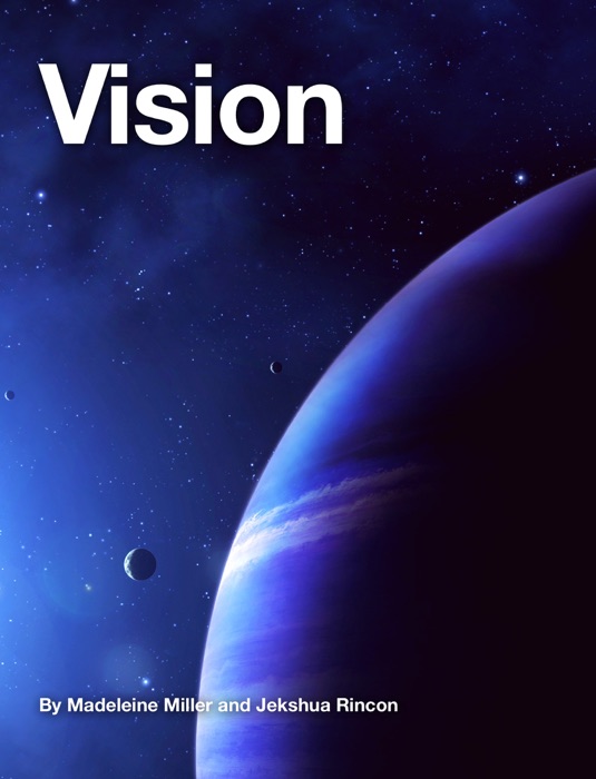 Vision