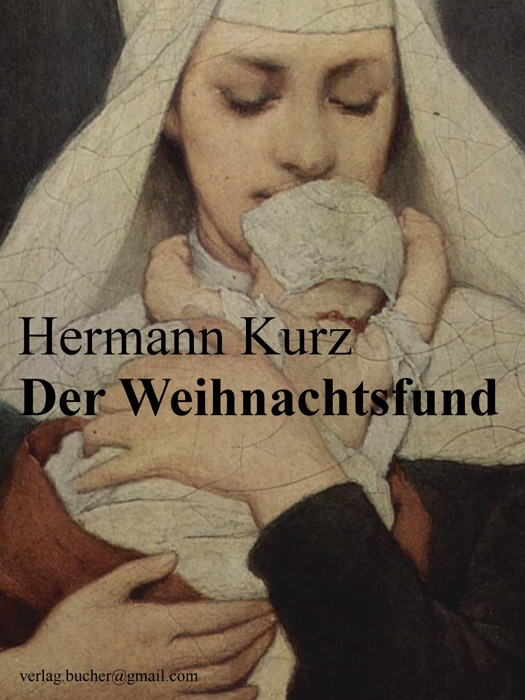 Der Weihnachtsfund