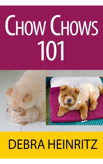 Chow Chows 101