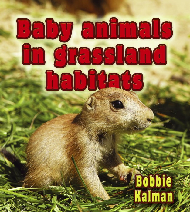 Baby animals in grassland habitats