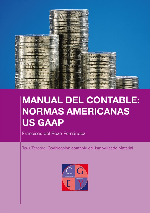 US GAAP: Codificación contable del Inmovilizado Material