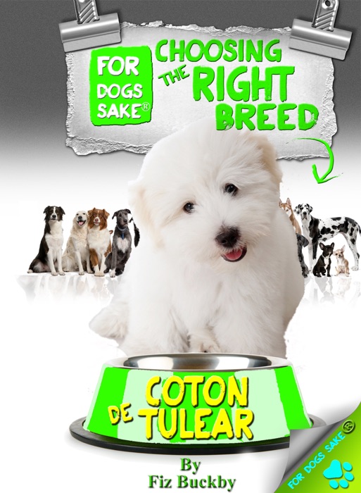 Choosing the Right Breed - Coton de Tulear