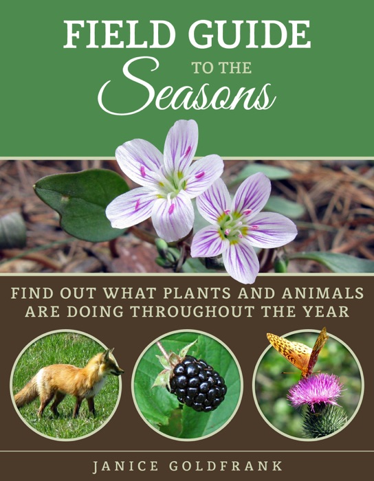 Field Guide to the Seasons