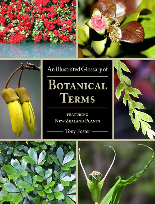 An Illustrated Glossary of Botanical Terms