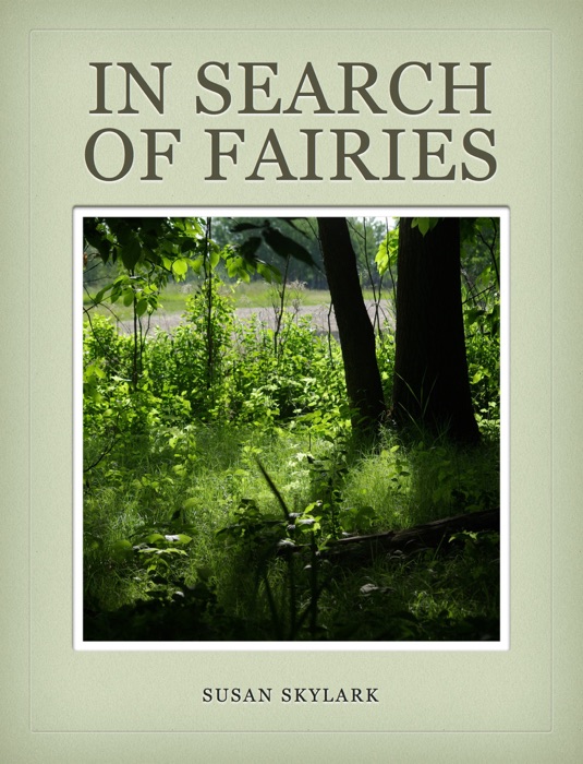 In Search of Fairies