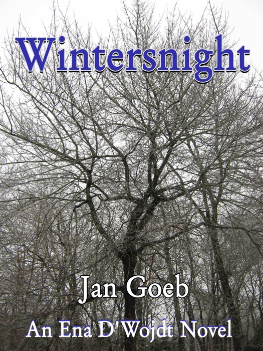 Wintersnight