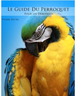 Le guide du Perroquet pour les débutants - Pierre Ditto