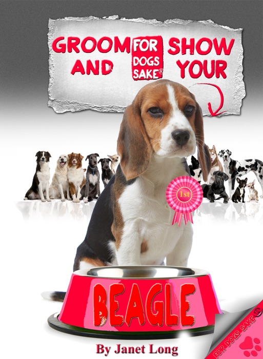 Groom and Show Your Beagle