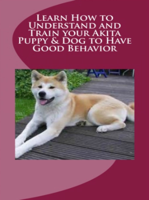 Learn How to Understand and Train your Akita Puppy & Dog to Have Good Behavior