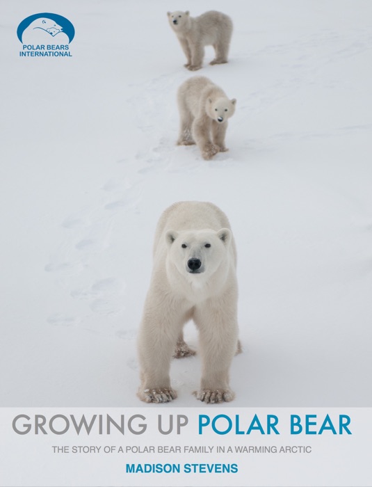 Growing Up Polar Bear