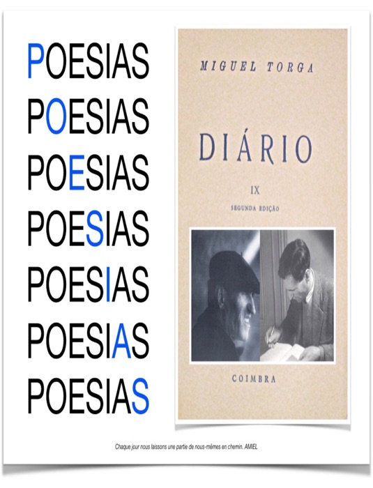 Poesias Diário IX