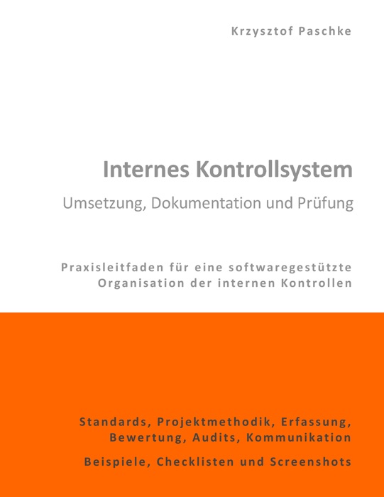 Internes Kontrollsystem - Umsetzung, Dokumentation und Prüfung