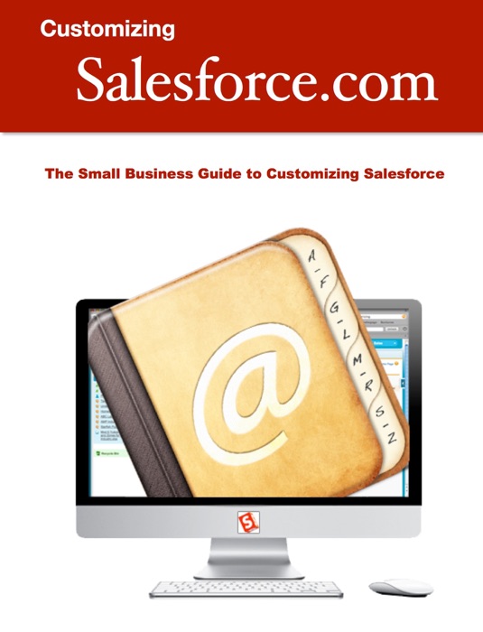 Customizing Salesforce.com