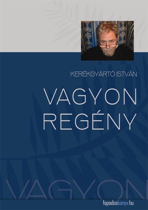 Vagyonregény