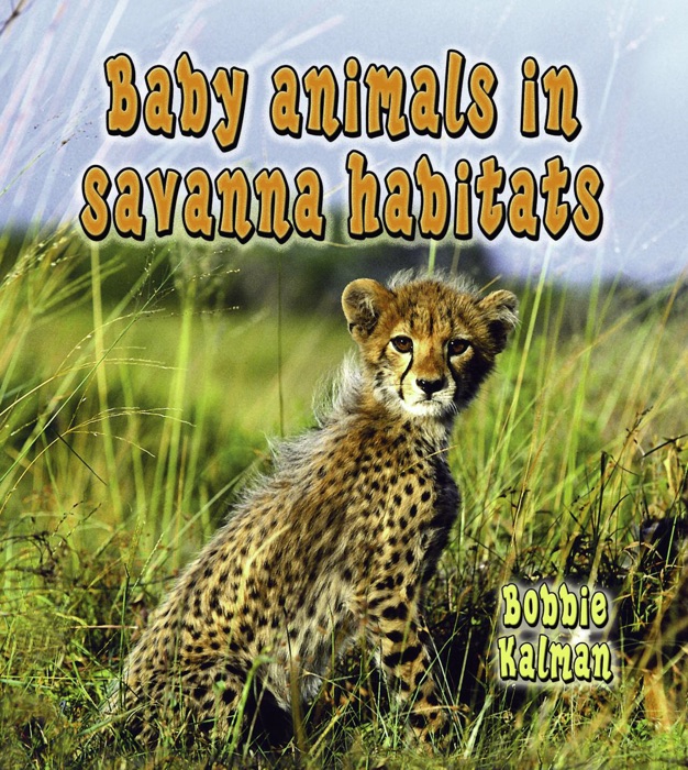 Baby Animals in Savanna Habitats