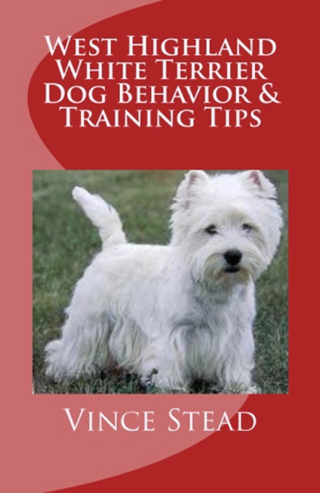 West Highland White Terrier Dog Behavior & Training Tips