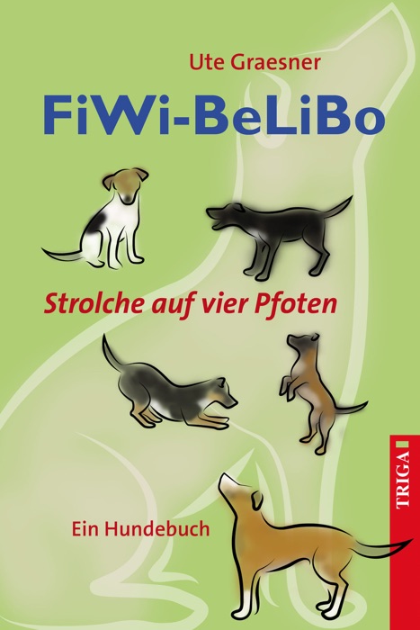 FiWi-BeLiBo