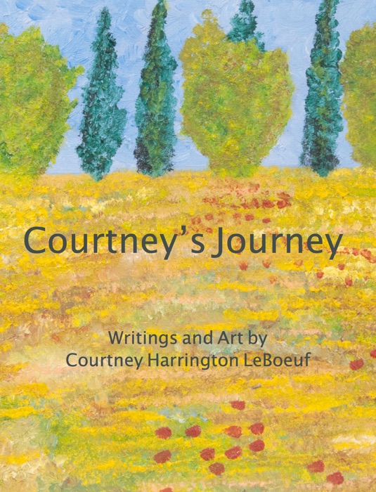 Courtney’s Journey