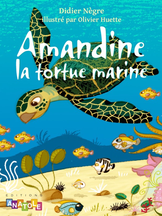 Amandine, la tortue marine