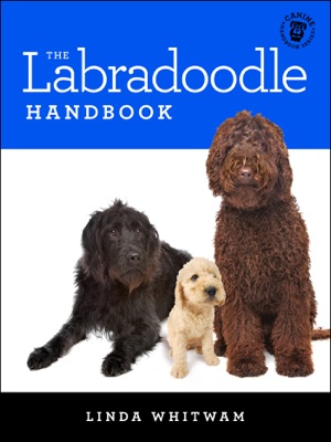 The Labradoodle Handbook