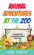 Animal Adventures At The Zoo Animal Adventures At The Zoo