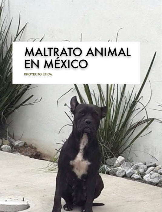 Maltrato animal en México